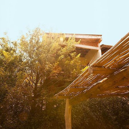 Casa Huijazoo Nature & Balance Mazunte Ngoại thất bức ảnh