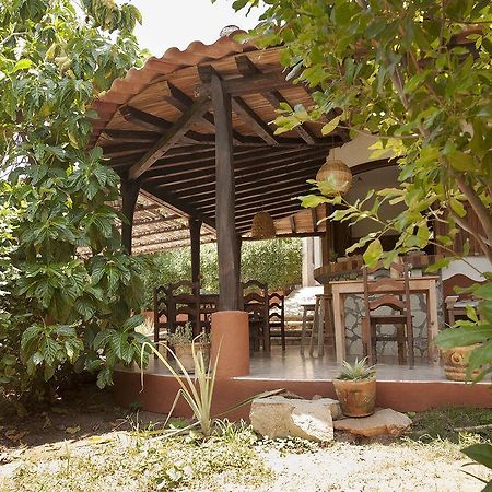 Casa Huijazoo Nature & Balance Mazunte Ngoại thất bức ảnh