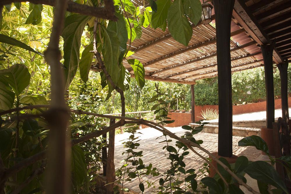 Casa Huijazoo Nature & Balance Mazunte Ngoại thất bức ảnh